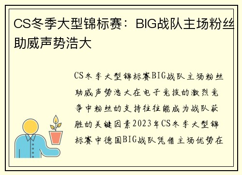 CS冬季大型锦标赛：BIG战队主场粉丝助威声势浩大